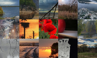 Картина дня