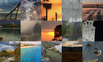 Картина дня