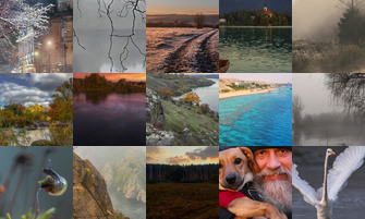 Картина дня