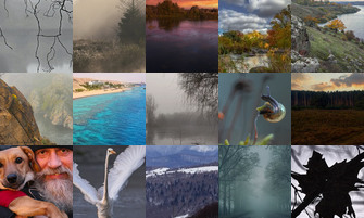 Картина дня