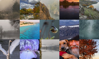 Картина дня