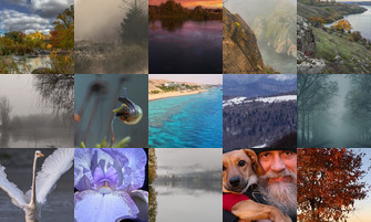 Картина дня