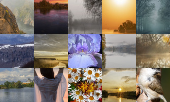 Картина дня