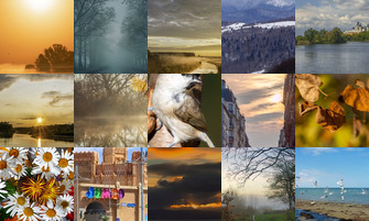 Картина дня