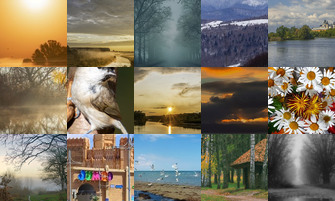 Картина дня