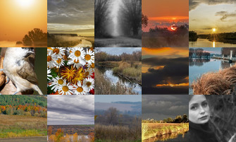 Картина дня