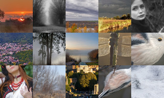 Картина дня