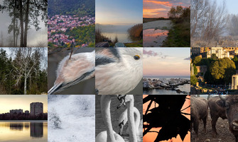 Картина дня