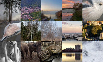 Картина дня