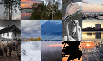 Картина дня