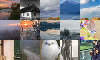 Картина дня