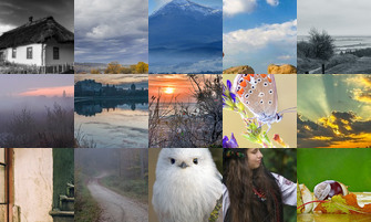 Картина дня