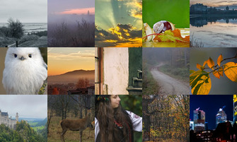 Картина дня