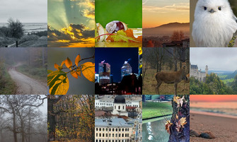 Картина дня