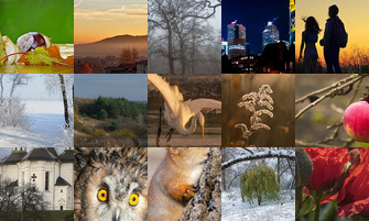 Картина дня