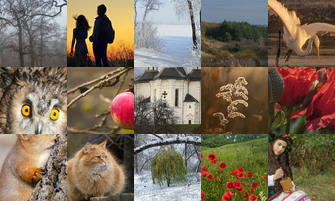 Картина дня