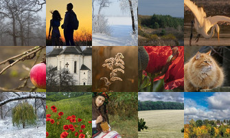 Картина дня