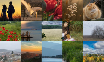 Картина дня