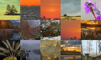 Картина дня