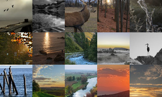 Картина дня