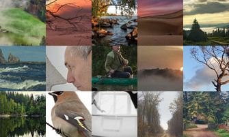 Картина дня