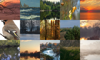 Картина дня