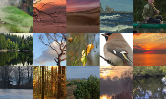 Картина дня