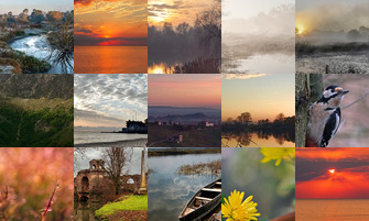 Картина дня