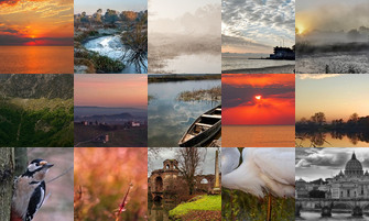 Картина дня