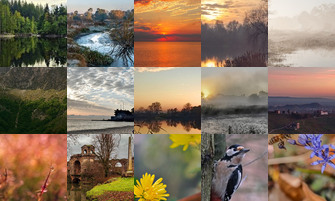 Картина дня