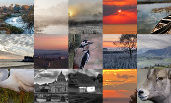 Картина дня