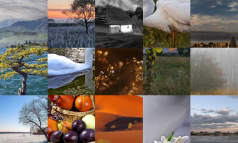 Картина дня