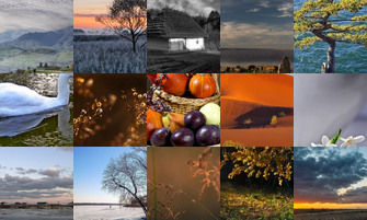 Картина дня