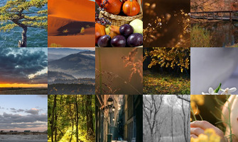 Картина дня