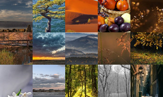 Картина дня