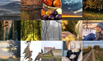 Картина дня