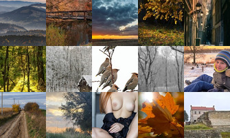 Картина дня