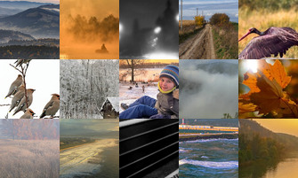 Картина дня