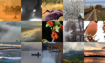 Картина дня