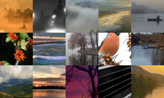 Картина дня