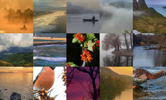 Картина дня