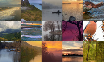 Картина дня