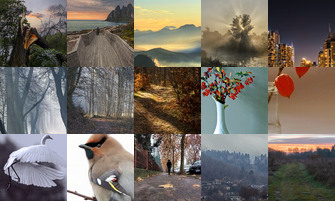 Картина дня