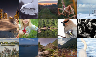 Картина дня