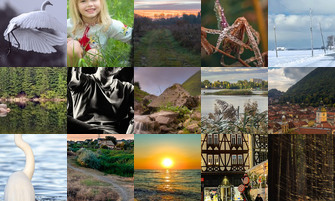 Картина дня