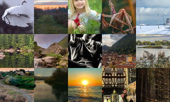 Картина дня