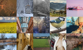 Картина дня