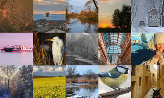 Картина дня