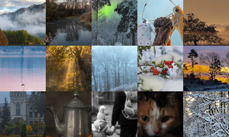 Картина дня