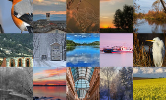 Картина дня